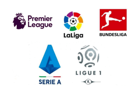 通过灵活的 通过灵活的